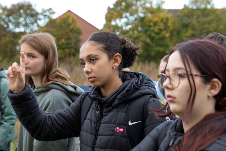 Drei Schüler:innen auf einer Wiese, eine hebt ihre Hand um sich zu melden.