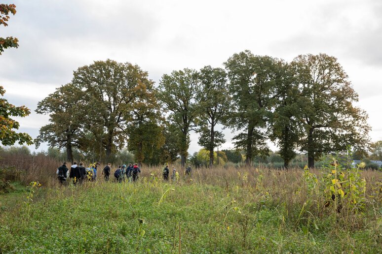 Eine Schulklasse in der Natur. Im Vordergrund eine Wiese mit Blumen, im Hintergrund einige Bäume und die Schüler:innen.
