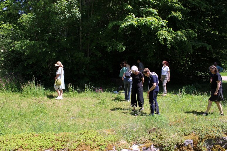 Mehrere Besucherinnen stehen im Alphabetgarten in der Sonne.
