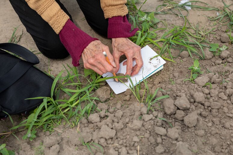 Auf dem Bild sieht man zwei Hände einer Person, während sie die Umrisse eines Klumpens abmalt.