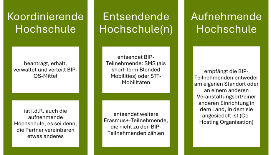 Übersicht der Rollen der Hochschulen