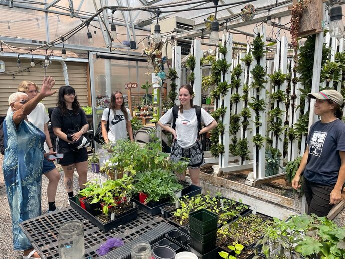 Studierende stehen in dem Gewächshaus des Projektes "Interfaith Neighbours", wo Gemüse zum Verkauf angebaut werden.