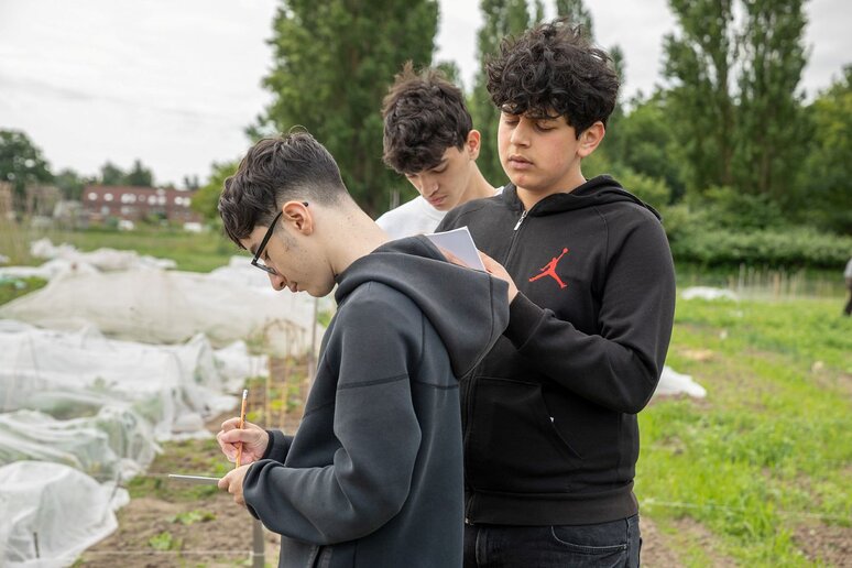 Schüler zeichnen im Garten Buchstaben, dabei ließen sie sich von der Natur inspirieren.