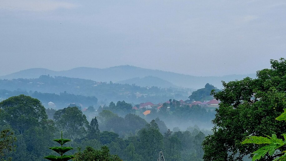 Bergketten im Nebel mit Bäumen und Häusern.