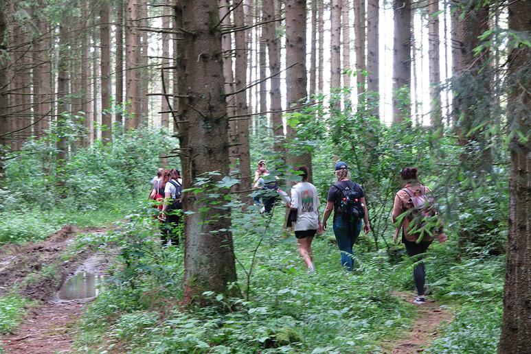 Eine Gruppe Menschen läuft durch einen Wald voller Nadelbäume.