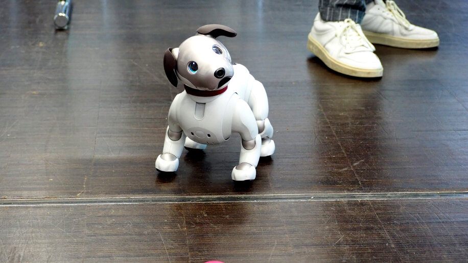 Ein weißer Roboterhund steht auf dem Boden und schautnach rechts oben. vor ihm liegt ein rosa Plastikball. Rechts hinter ihm sieht man die Schuhe einer Person.
