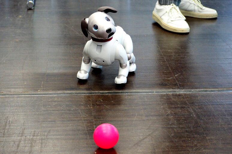 Ein weißer Roboterhund steht auf dem Boden und schautnach rechts oben. vor ihm liegt ein rosa Plastikball. Rechts hinter ihm sieht man die Schuhe einer Person.