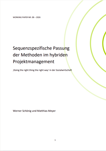 Cover eines Workpapers beim IBuD
