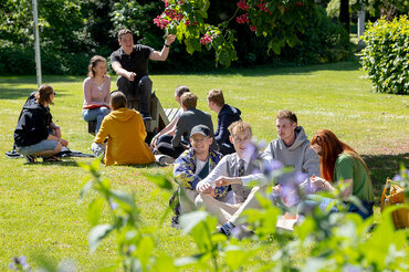 Zwei Gruppen von Studierenden picknicken im Außengelände unter einem Blütenbaum und unterhalten sich.

