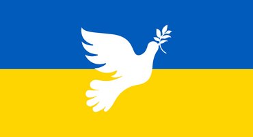 weiße Friedenstaube auf blau-gelber Ukraine-Flagge